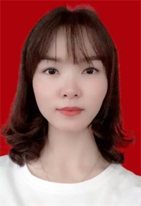 ˫