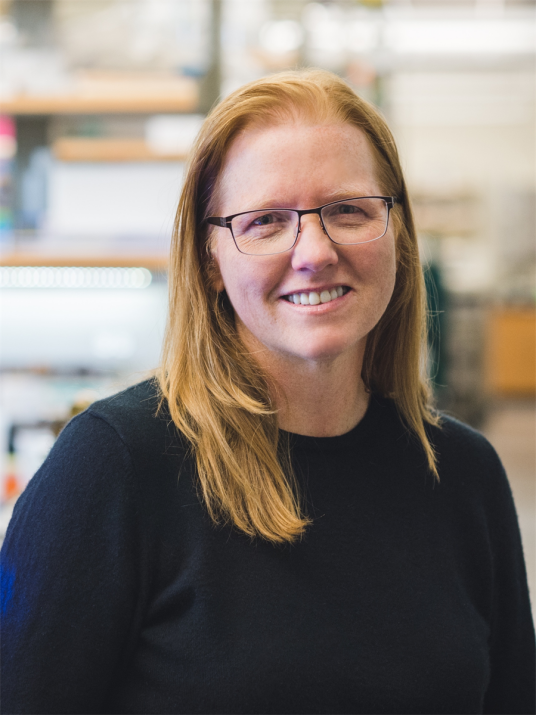 克里斯蒂·安塞斯