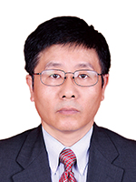 鲨