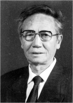 ¸