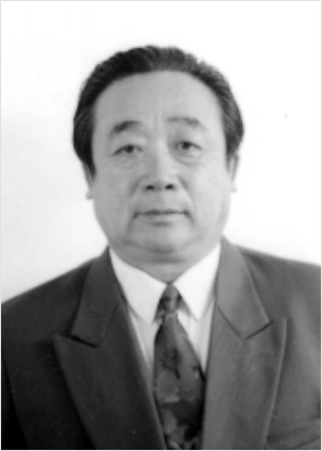 ˫