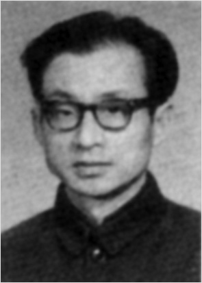 田师善