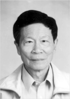 汪飞白