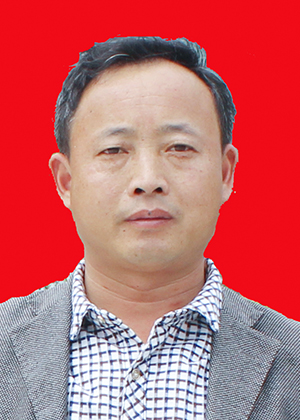 ȫ